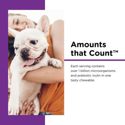 Image showing 6 th Nutri-Vet Pre and Probiotic Soft Chewable Digestive Supplement for Dogs, 7.2 oz., 120 ct.