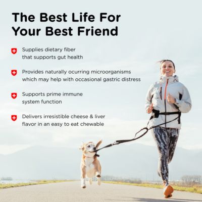 Image showing 7 th Nutri-Vet Pre and Probiotic Soft Chewable Digestive Supplement for Dogs, 7.2 oz., 120 ct.