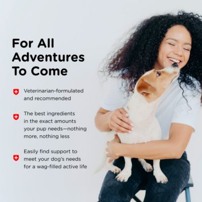 Image showing 8 th Nutri-Vet Pre and Probiotic Soft Chewable Digestive Supplement for Dogs, 7.2 oz., 120 ct.