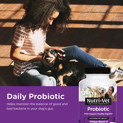 Image showing  Probiotic Digestive Supplement Capsules for Dogs, 60 ct.