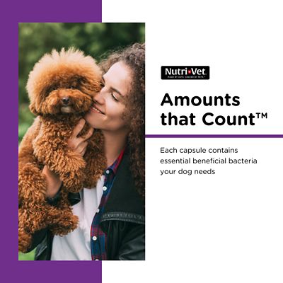 Image showing  Probiotic Digestive Supplement Capsules for Dogs, 60 ct.