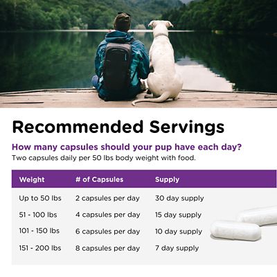 Image showing 6 th Nutri-Vet Probiotic Digestive Supplement Capsules for Dogs, 60 ct.