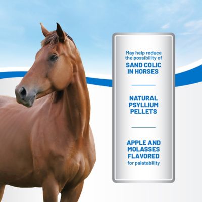 Image showing  Sand-Aid Pelleted Psyllium Horse Supplement, 10 lb.