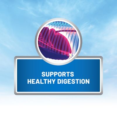 Image showing  Sand-Aid Pelleted Psyllium Horse Supplement, 10 lb.