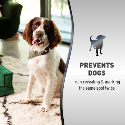 Image showing 5 th Nature's Miracle No More Marking Stain Odor Remover with Repellent, 24 fl. oz.