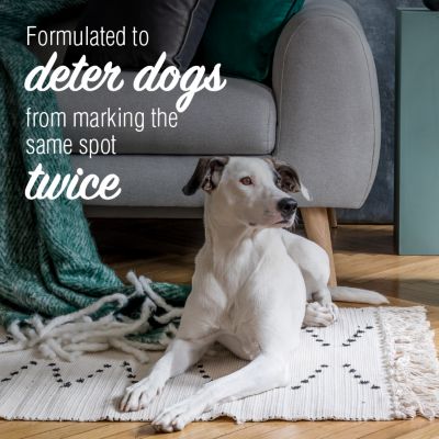 Image showing 8 th Nature's Miracle No More Marking Stain Odor Remover with Repellent, 24 fl. oz.