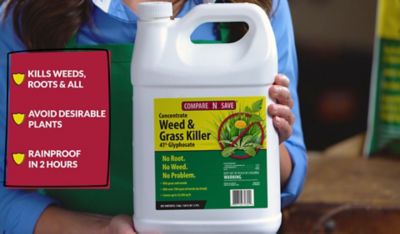 Image showing  32 oz. 41% Glyphosate Grass and Weed Killer Concentrate, Makes 21 gal.