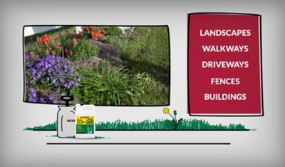 Image showing  32 oz. 41% Glyphosate Grass and Weed Killer Concentrate, Makes 21 gal.