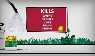 Image showing 5 th Compare-N-Save 32 oz. 41% Glyphosate Grass and Weed Killer Concentrate, Makes 21 gal.