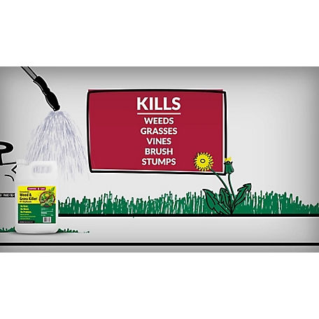 FarmWorks 1 gal. 53.8% Glyphosate Grass and Weed Killer Concentrate at  Tractor Supply Co.