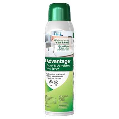 Image showing  Carpet and Upholstery Pest Spot Spray, 16 oz.