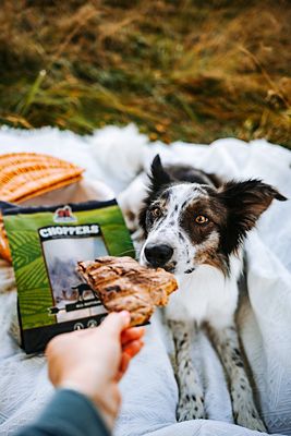 Image showing  Natural Choppers Beef Dog Treats, 9 oz.