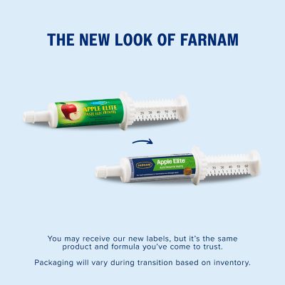 Image showing  Elite Apple Flavor Electrolyte Equine Supplement Paste, 60cc Syringe