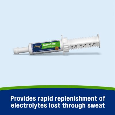 Image showing  Elite Apple Flavor Electrolyte Equine Supplement Paste, 60cc Syringe