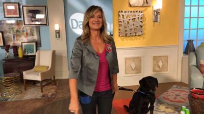 Image showing  K9 Hip and Joint Support Supplement for Dogs, Chicken Flavor, 32 oz.