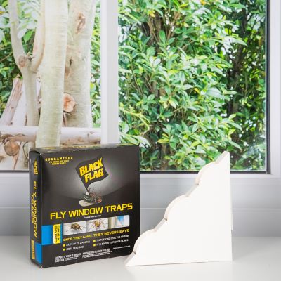Image showing Black Flag Window Fly Traps, 4-Pack