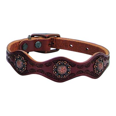 Image showing  Sundance Dog Collar