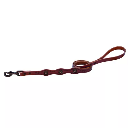 Weaver Leather Sundance Dog Leash 3/4 in x 4 ft. Dog Basic Leashes