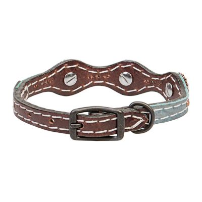 Weaver Leather Savannah Dog Collar