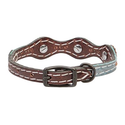 Weaver Pet Savannah Dog Collar, 5/8 in.