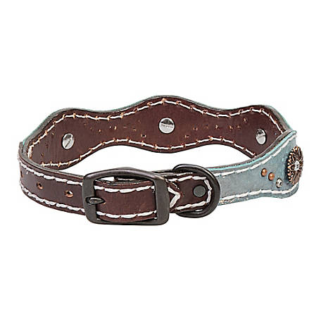 Weaver Leather Savannah Dog Collar at Tractor Supply Co.