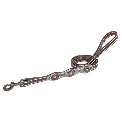 Weaver Pet Savannah Leather Dog Leash, 3/4 in. x 4 ft.