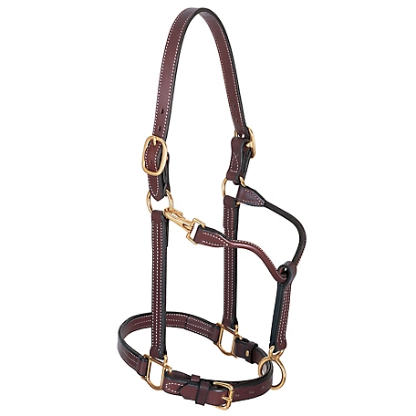 Weaver Leather Leather Track Horse Halter, 1 in.