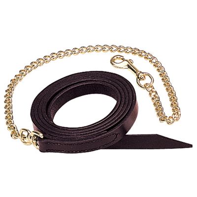 Weaver Equine Single-Ply Lead with Brass-Plated Chain, 1 in.