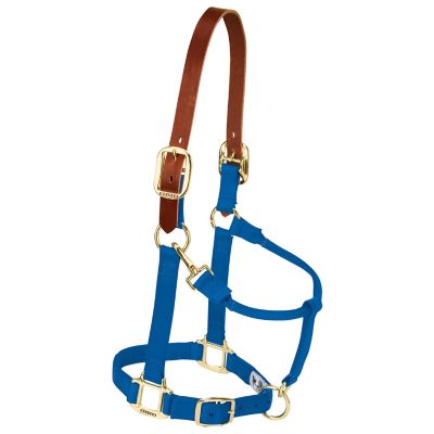 Weaver Equine Original Breakaway Horse Halter with Adjustable Chin and Throat Snap