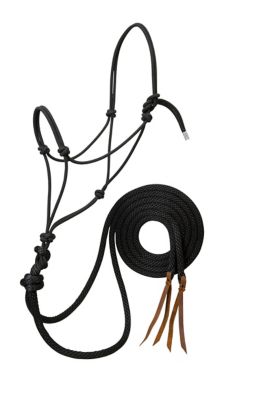 Weaver Equine Silvertip Loping Halter with 8 ft. Reins, Average