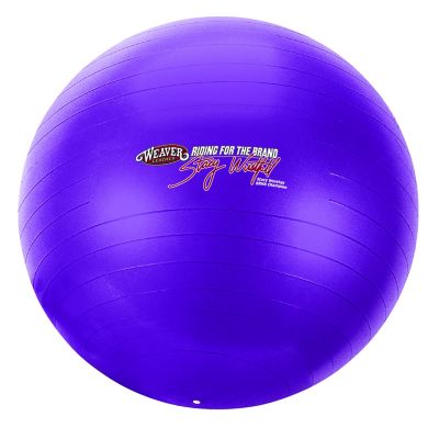 Weaver Leather Stacy Westfall Activity Ball, Purple, Small