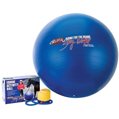 Weaver Leather Stacy Westfall Activity Ball, Blue, Medium