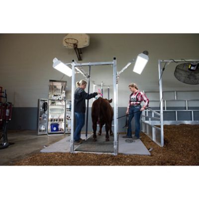 Image showing  122 in. x 75 in. Aluminum Chute