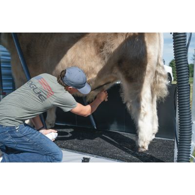 Image showing  Folding Stall Mat