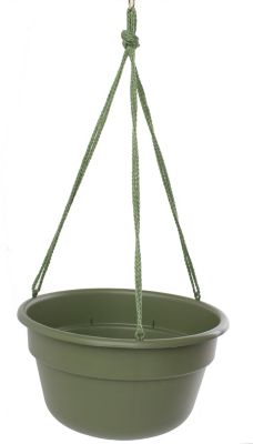 Bloem Dura Cotta Hanging Basket