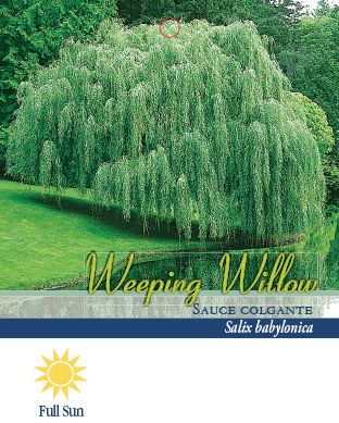 Pirtle Nursery 3.74 gal. Weeping Willow Tree, #5