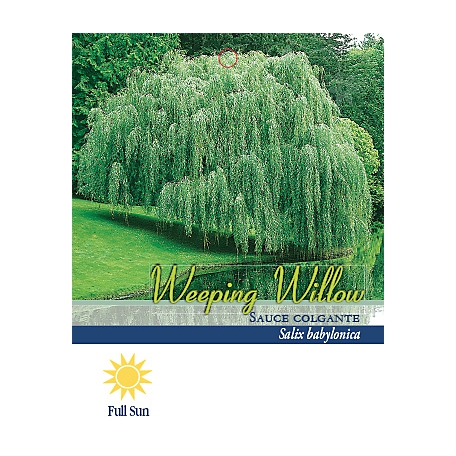 Pirtle Nursery 3.74 gal. Weeping Willow Tree, #5 at Tractor Supply Co.