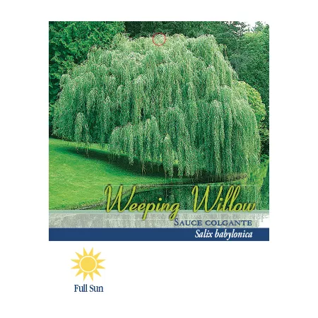 Pirtle Nursery 3.74 gal Weeping willow #5 Trees