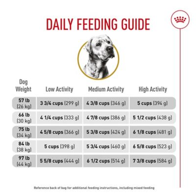 Image showing  Breed Health Nutrition Adult Labrador Retriever Chicken Recipe Dry Dog Food