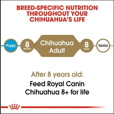 Image showing  Breed Health Nutrition Chihuahua Adult Chicken Recipe Dry Dog Food, 10 lb. Bag