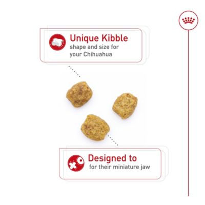 Image showing  Breed Health Nutrition Adult Chihuahua Dry Dog Food