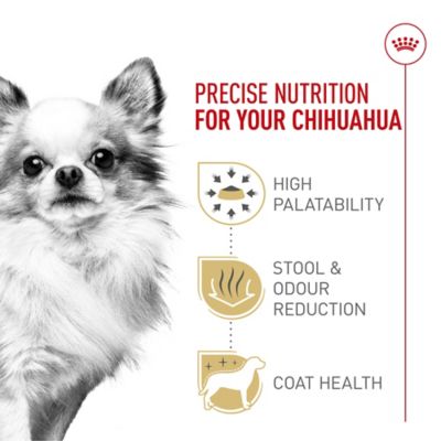 Image showing  Breed Health Nutrition Adult Chihuahua Dry Dog Food