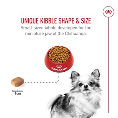 Image showing  Breed Health Nutrition Adult Chihuahua Dry Dog Food