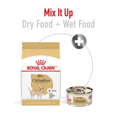 Image showing 5 th Royal Canin Breed Health Nutrition Adult Chihuahua Dry Dog Food