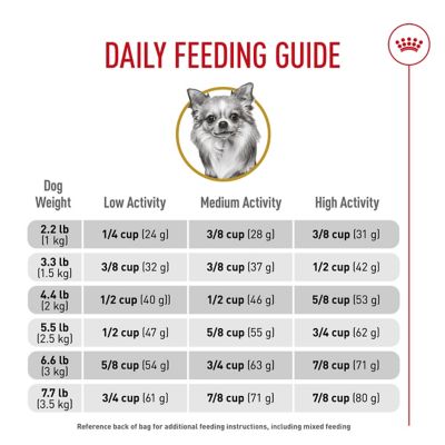 Image showing 7 th Royal Canin Breed Health Nutrition Adult Chihuahua Dry Dog Food