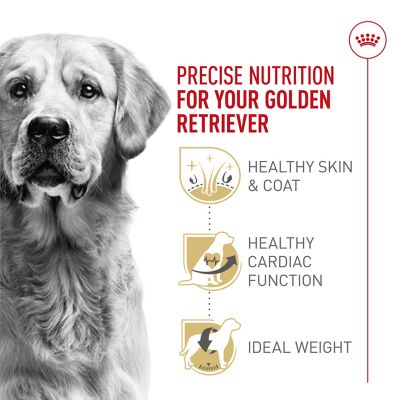 Image showing  Breed Health Nutrition Adult Golden Retriever Dry Dog Food