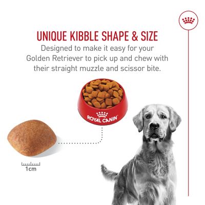 Image showing  Breed Health Nutrition Adult Golden Retriever Dry Dog Food