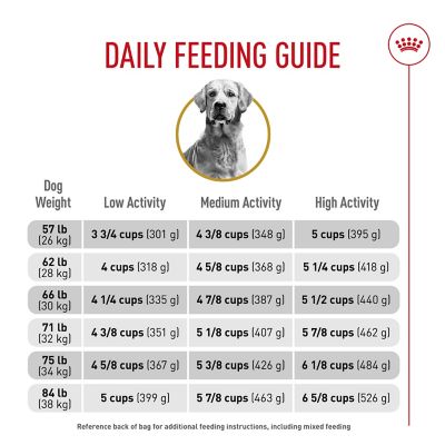 Image showing 5 th Royal Canin Breed Health Nutrition Adult Golden Retriever Dry Dog Food
