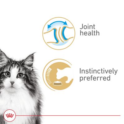 Image showing  Aging 12+ Thin Slices in Gravy Wet Cat Food, 3 oz.