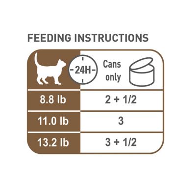 Image showing 6 th Royal Canin Thin Slices Senior Aging 12+ Chicken Recipe Wet Cat Food in Gravy, 3 oz. Can